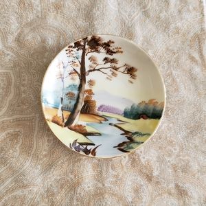 Hand painted dish